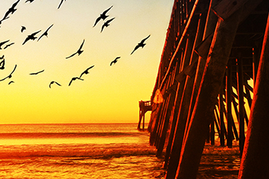 Senior Class Trips 5 https://grouptravelnetwork.com/destinations/destination-myrtle-beach/